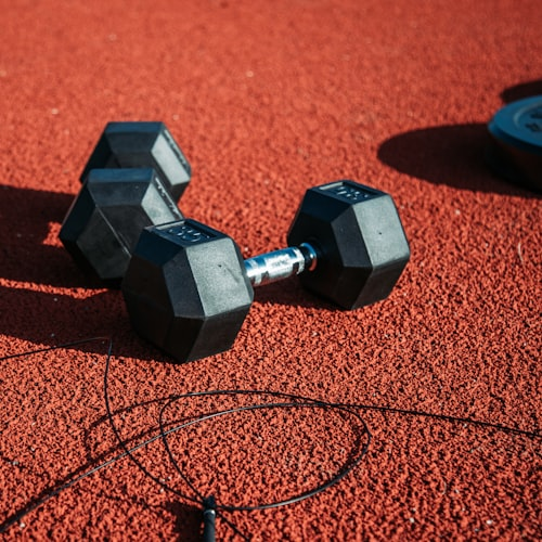 Foam Roller for Muscle Recovery